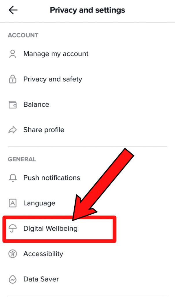 Digital Wellbeing in TikTok