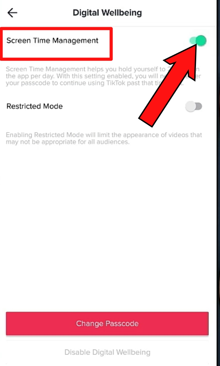 What is Digital Wellbeing in TikTok ? How to use this ? - Tik Tok Tips