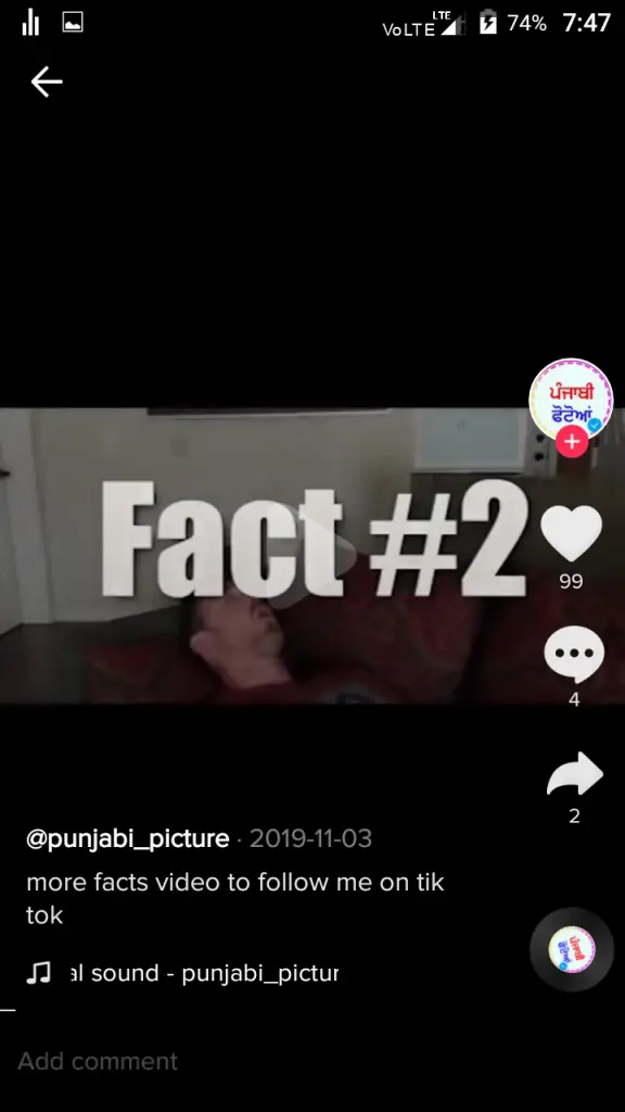 Fact video