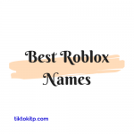 339+ Best Roblox Names+usernames Ideas 