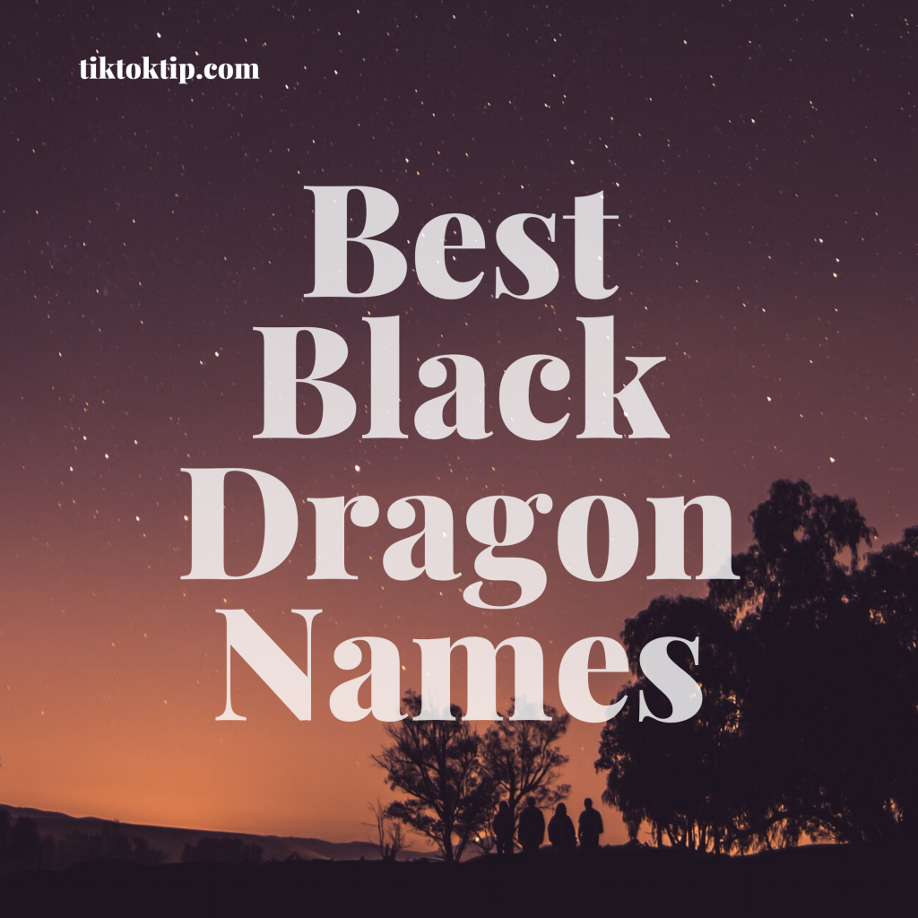 Best black dragon names
