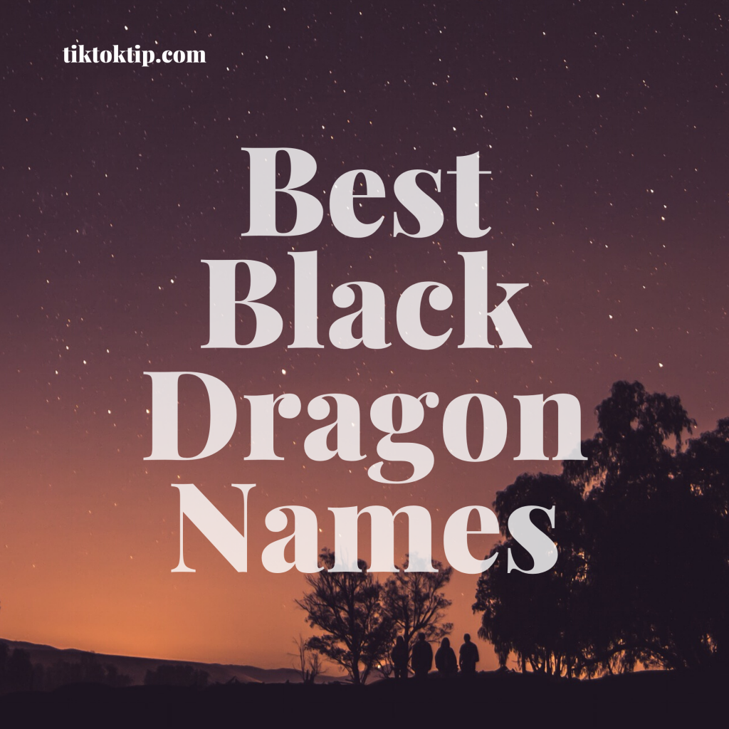 297-best-black-dragon-names-ideas-2022-tik-tok-tips